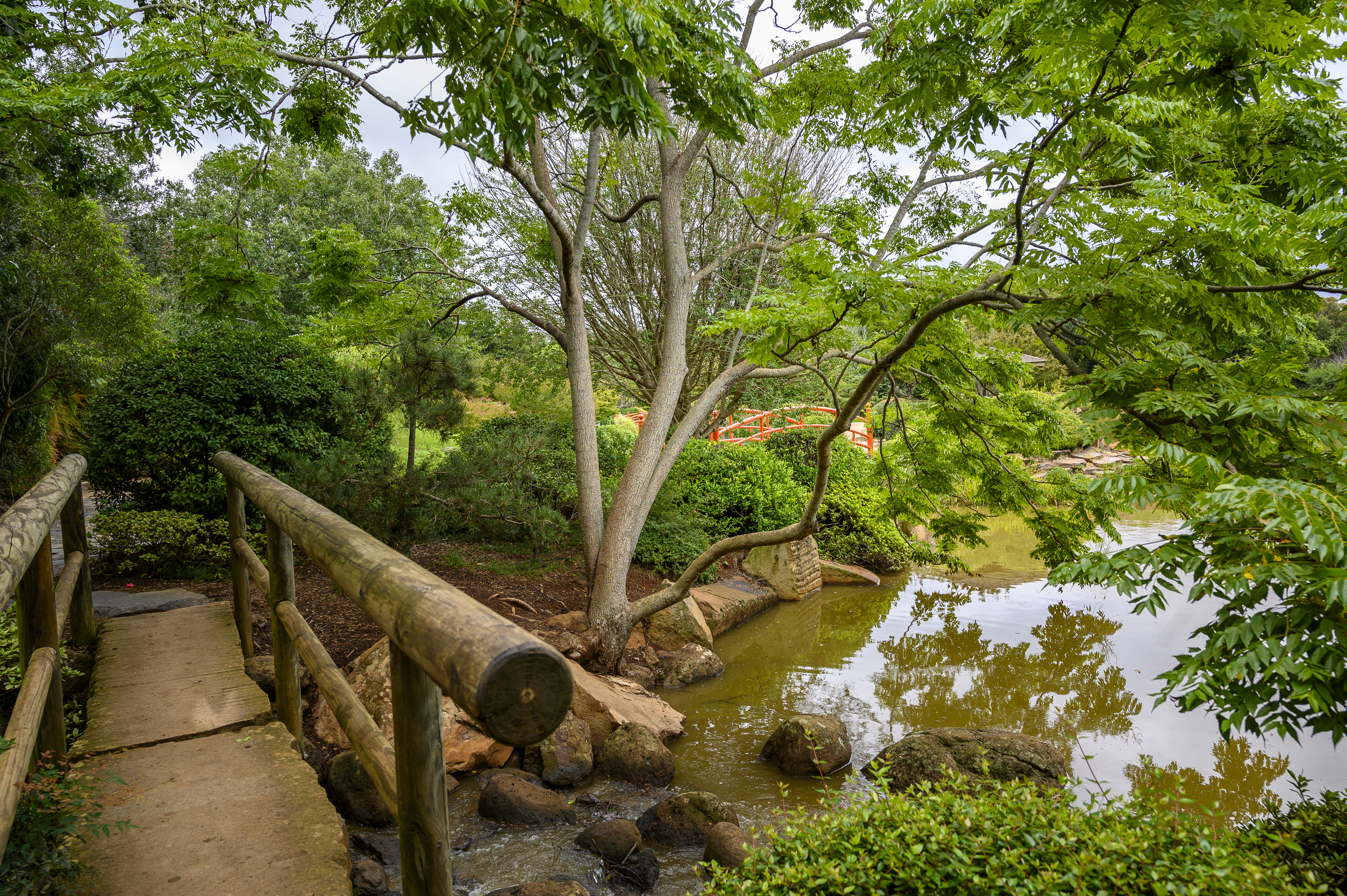 Projetos de Paisagismo